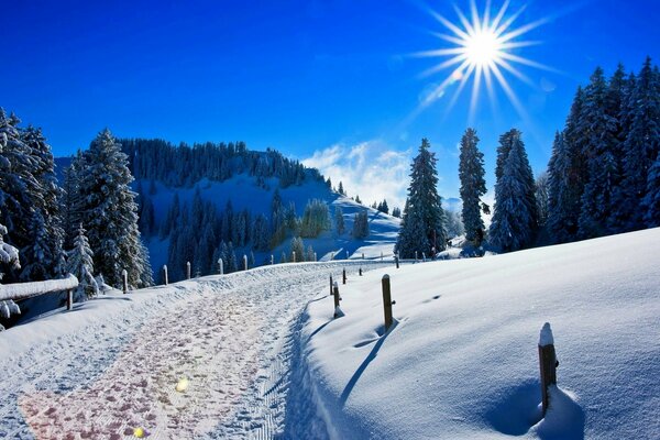 Winter road and bright sun