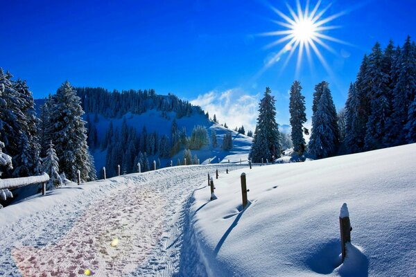 Зимняя дорога и яркое солнце