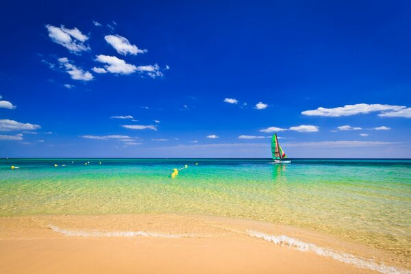 Paradise beach with crystal water