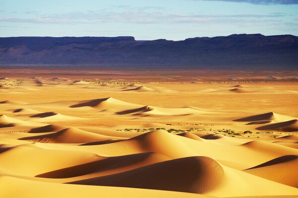 Пейзаж пустыни. Песочные холмы отбрасывали тень
