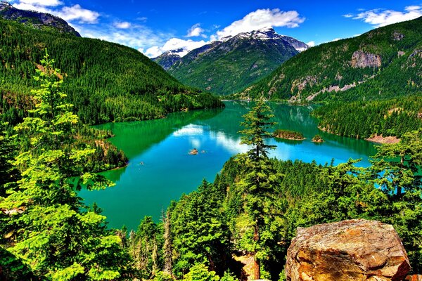 Lac parmi les montagnes et les forêts
