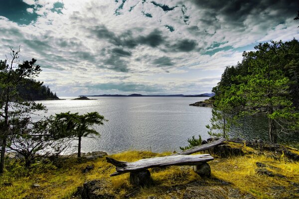 Vista desde la orilla del río en el bosque