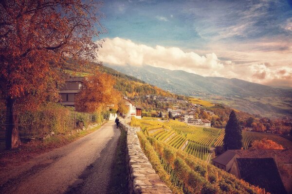 Die Straße erstreckt sich entlang der Weinberge Italiens