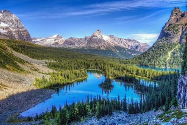 Lago tranquilo a lo largo de bosques y acantilados