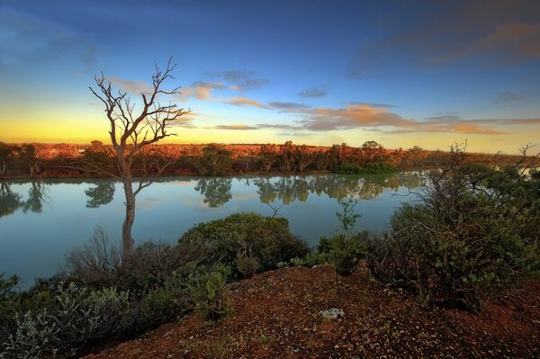 River bank at sunset