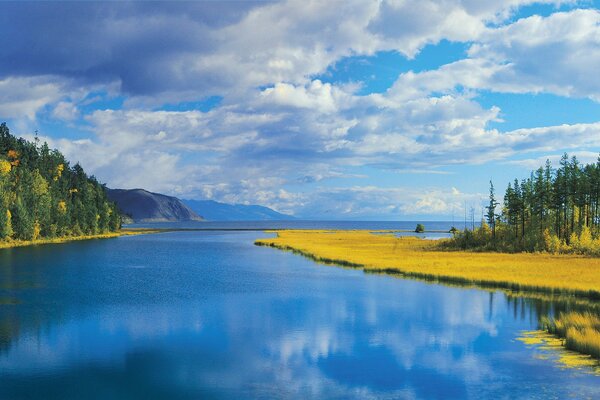 In autumn, the perfect combination of colors of nature:clouds and yellow grass, river and trees