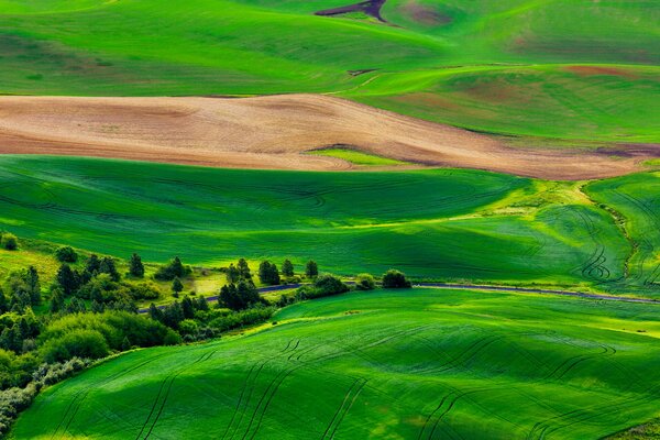 Collines rocailleuses vertes par routes