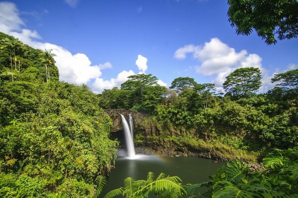 Wasserfall in dicht bewachsenem, von Bäumen bewachsenem Gelände