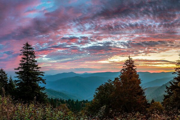 Paisaje de montaña forestal al atardecer