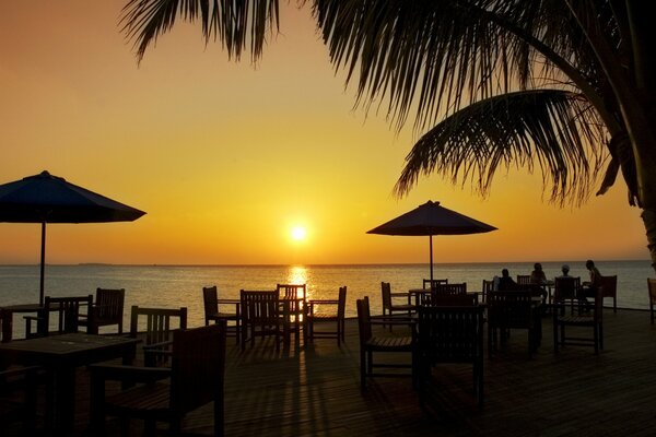 People are sitting at a table next to a palm tree at sunset