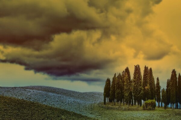 Cielo nuvoloso, bellissimi alberi