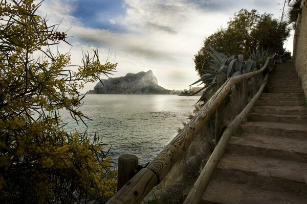 Vue sur la baie et la baie fleurie depuis les escaliers près de la falaise