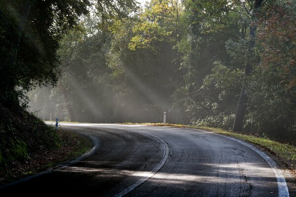 Le matin vient la route qui avance en douceur