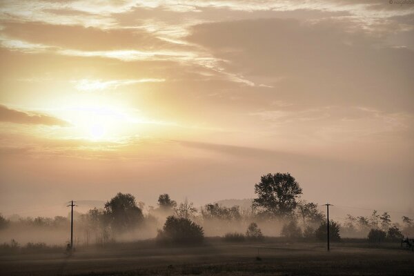 Morgen, Nebel, Sonnenuntergang