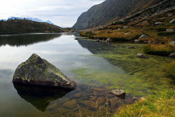 The natural beauty of nature clear water and smooth turned stones