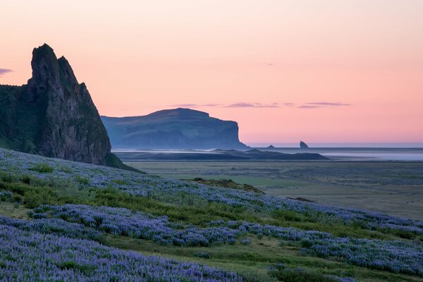Florece la costa del sur de Islandia al amanecer