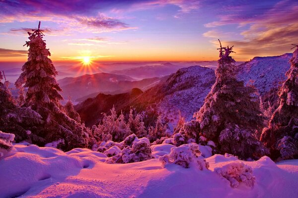 Mountains and forest in a snowy sunset