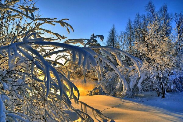 Winter Waldlandschaft bei Sonnenuntergang