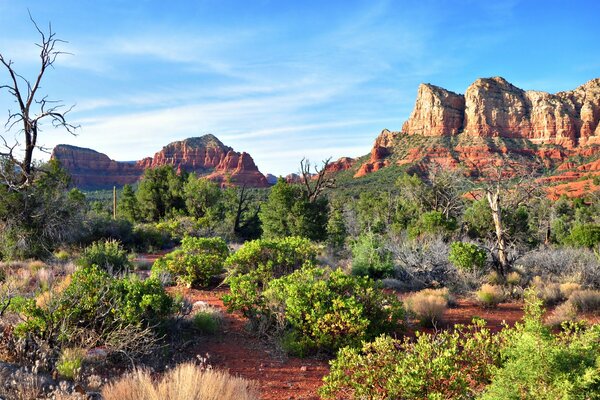 Rocce nel deserto Dell Arizona