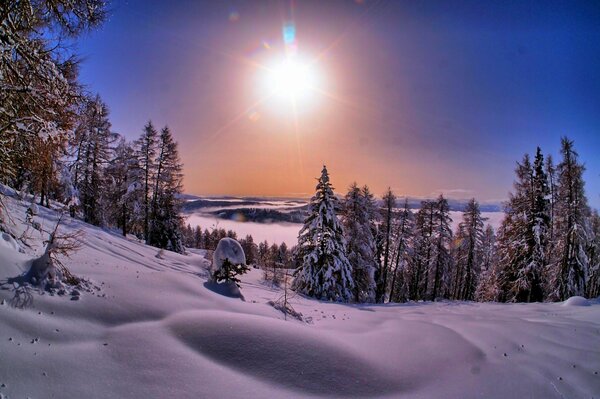 Winter nature white sunset