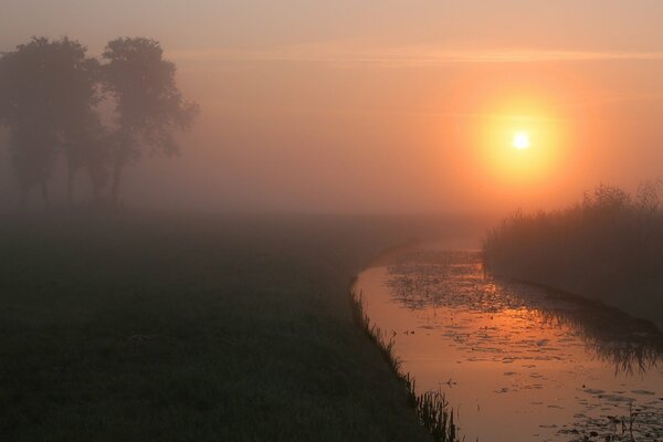 Alba nebbia fiume