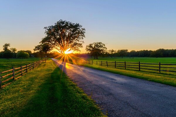 The rays of the sun at sunrise. Morning walk outside the city