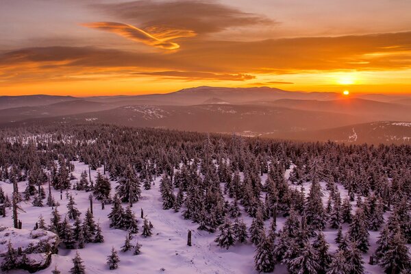 Tramonto in montagna. Foresta invernale