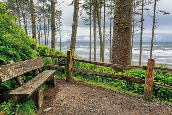 Brzeg oceanu w Ruby Beach Washington