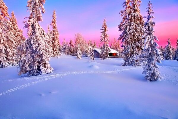 Acogedora casa al atardecer en un bosque cubierto de nieve