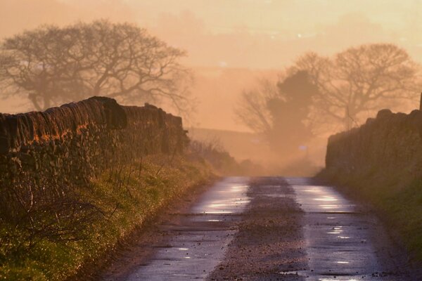 Warm morning fog. Landscape with road