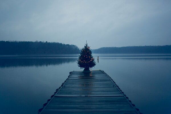 Weihnachtsbaum am Pier in der Mitte des Sees