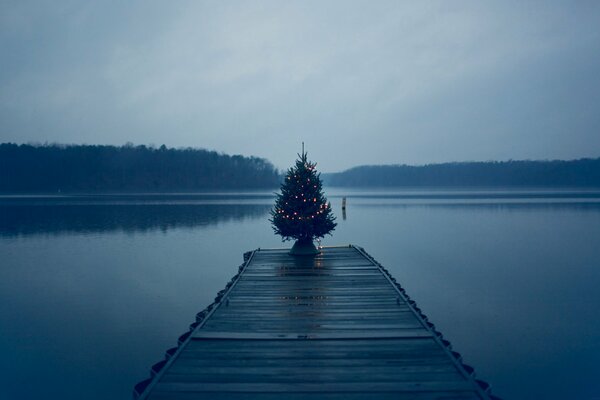 Christmas tree on the pier in the middle of the lake