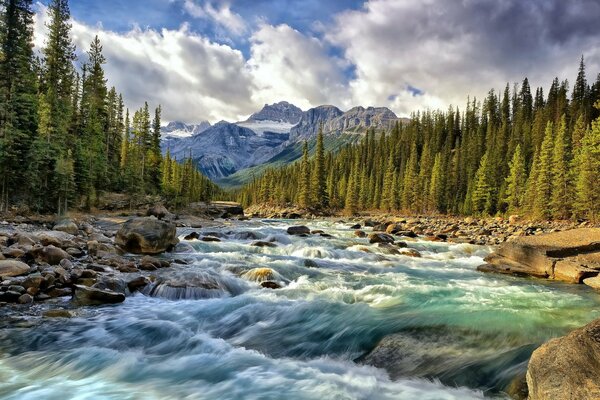 Paysage de rivière dans les montagnes