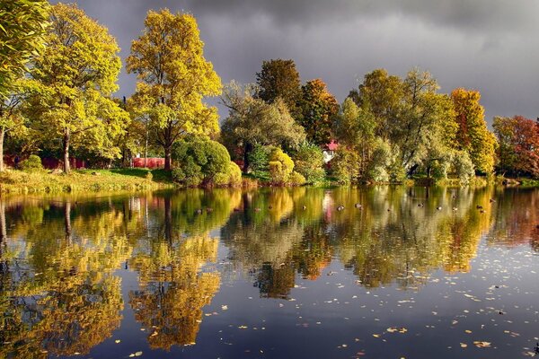 Autumn landscape with pond and clouds