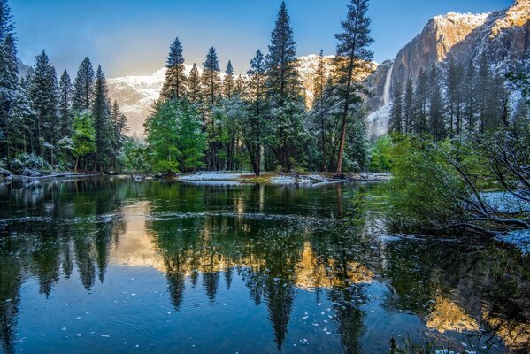 Fragile Nature in California National Park