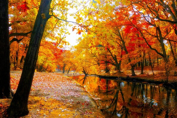 Autumn colors. River. Nature