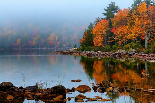 Autumn landscape on the lake shore