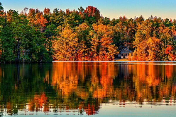 Architecture of the autumn forest in the water