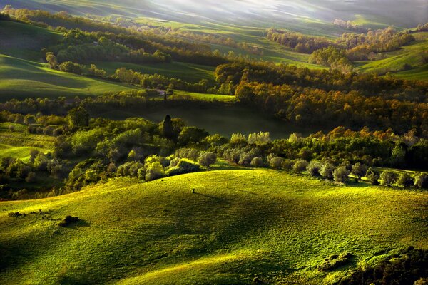 Paysage de collines forestières d automne