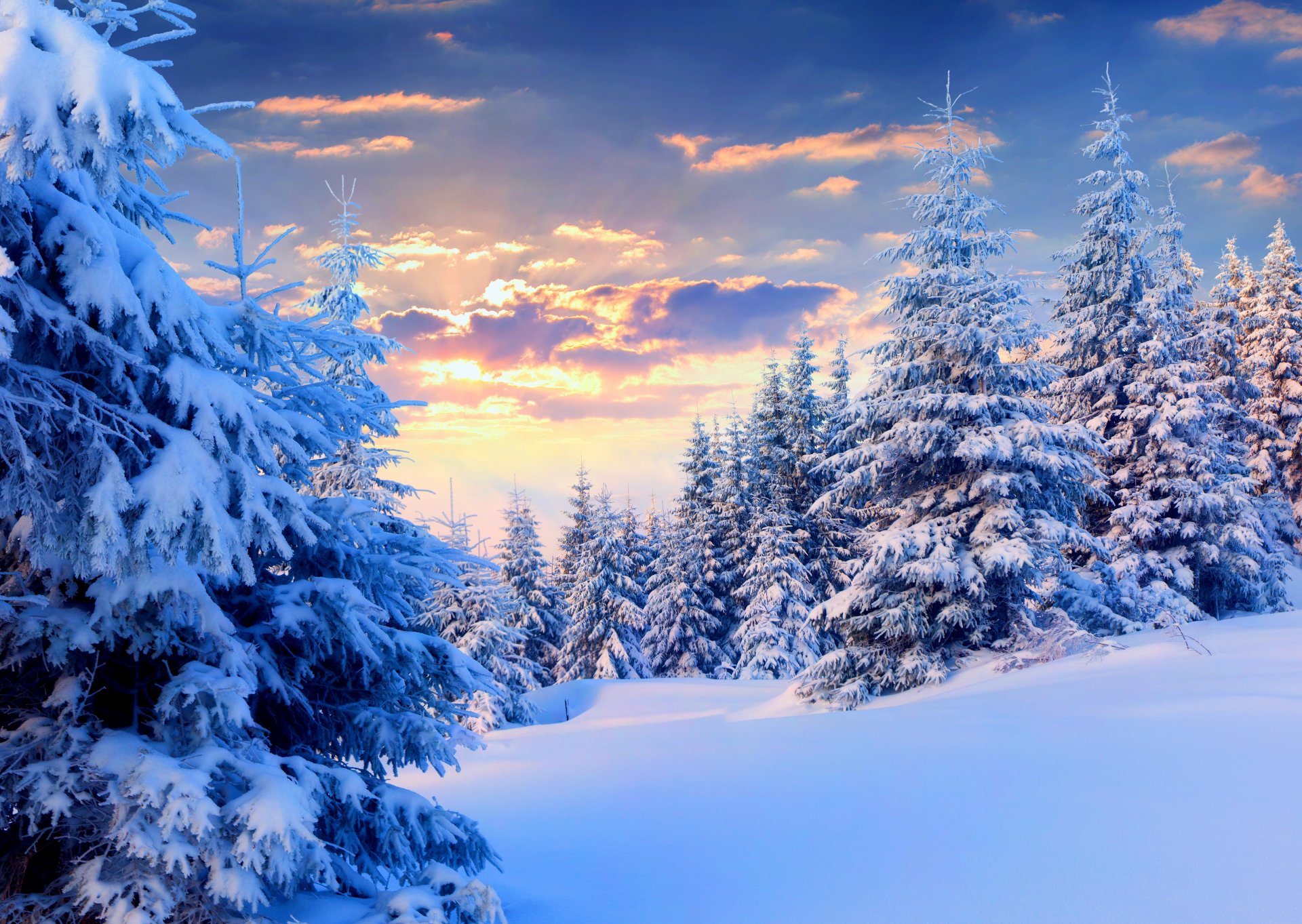 natur winter schnee himmel landschaft winter weiß sonnenuntergang