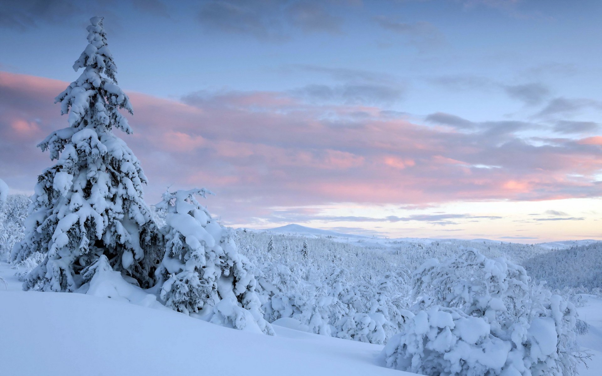 winter sunset landscape