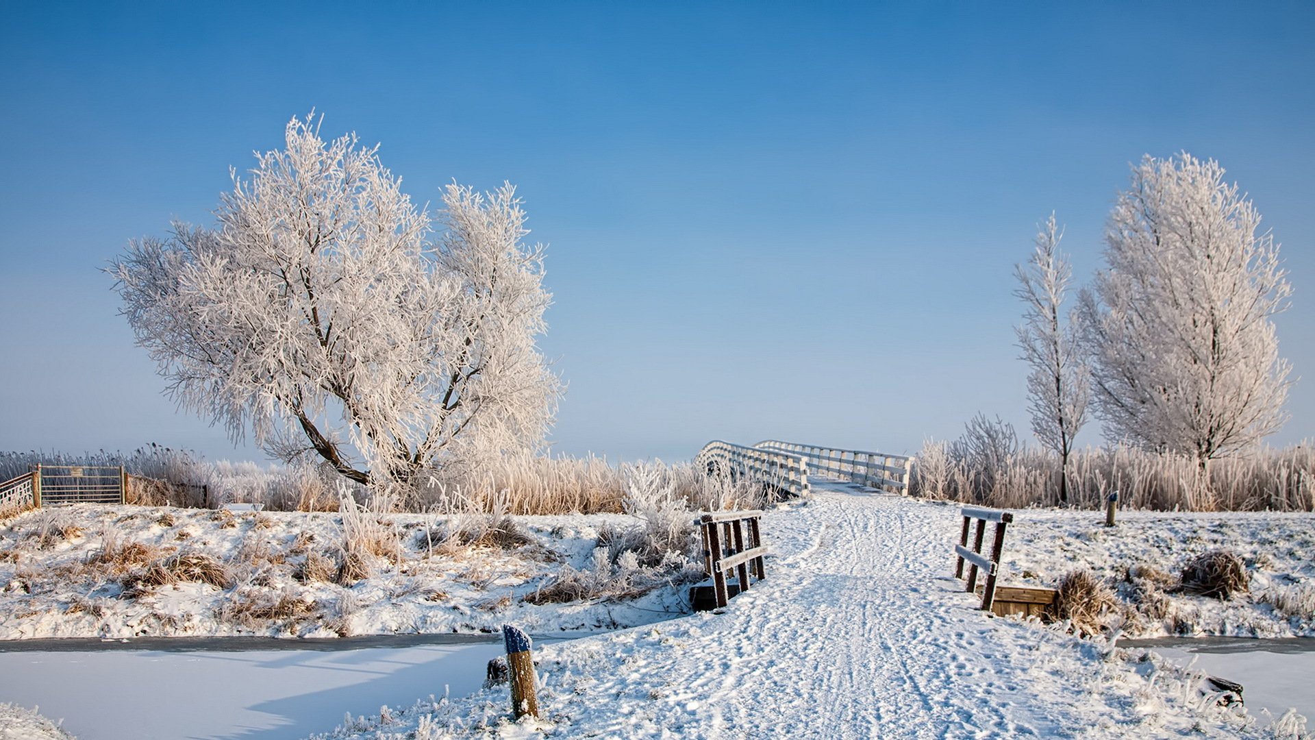 hiver neige pont paysage