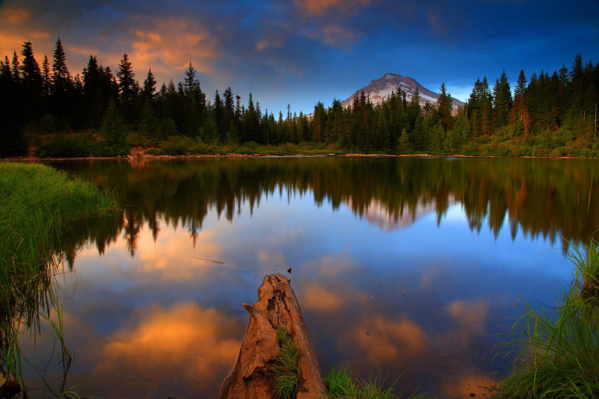 lac forêt états-unis eau paysage mf goode national oregon nature photo