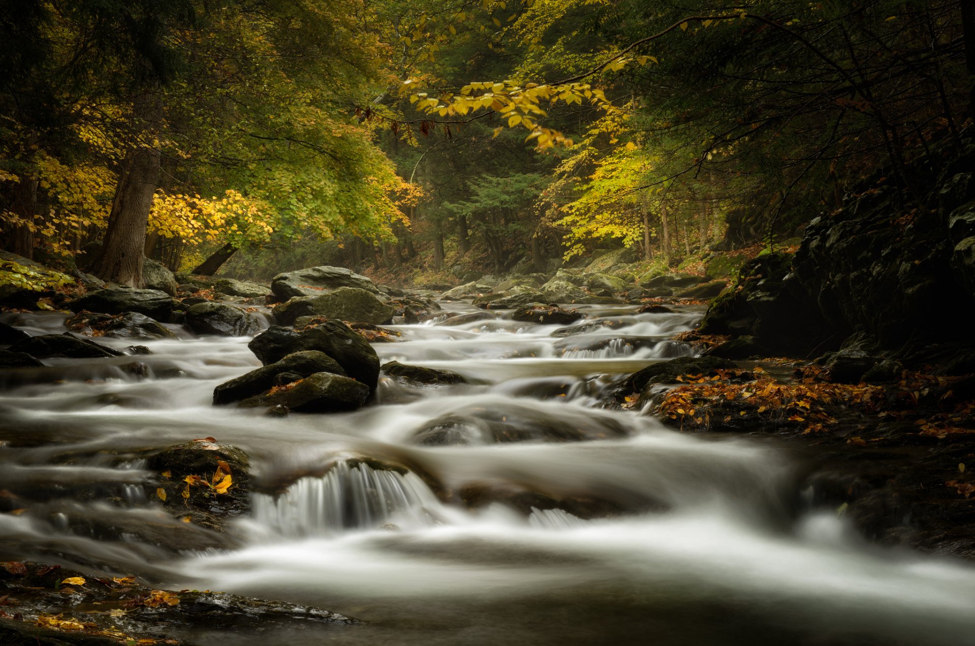 bash bish brook massachusetts arroyo río rocas bosque otoño