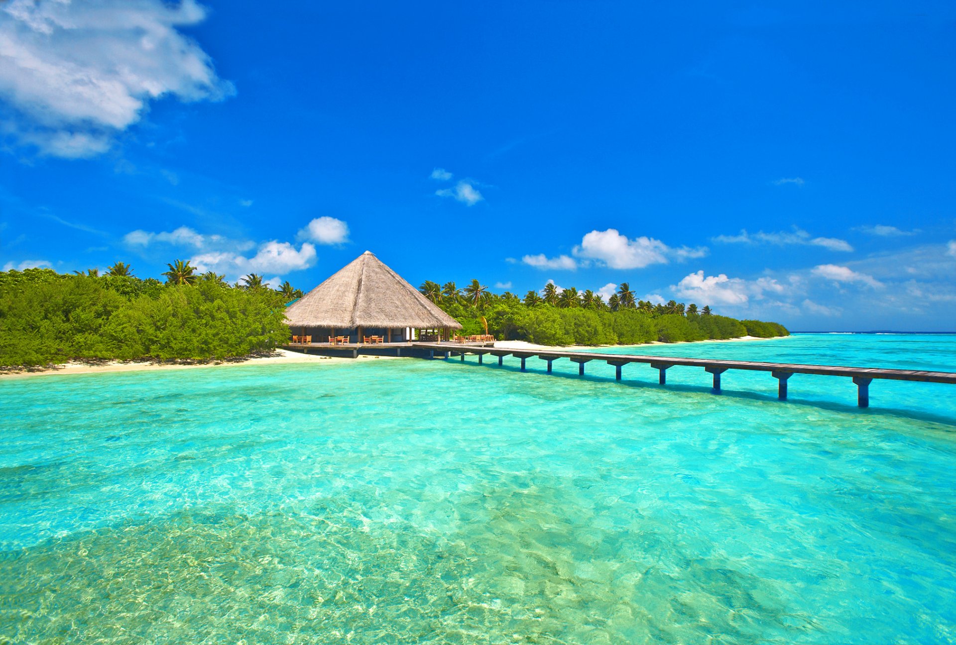 maldives ciel mer nuages océan île arbres palmiers bungalow pont jetée