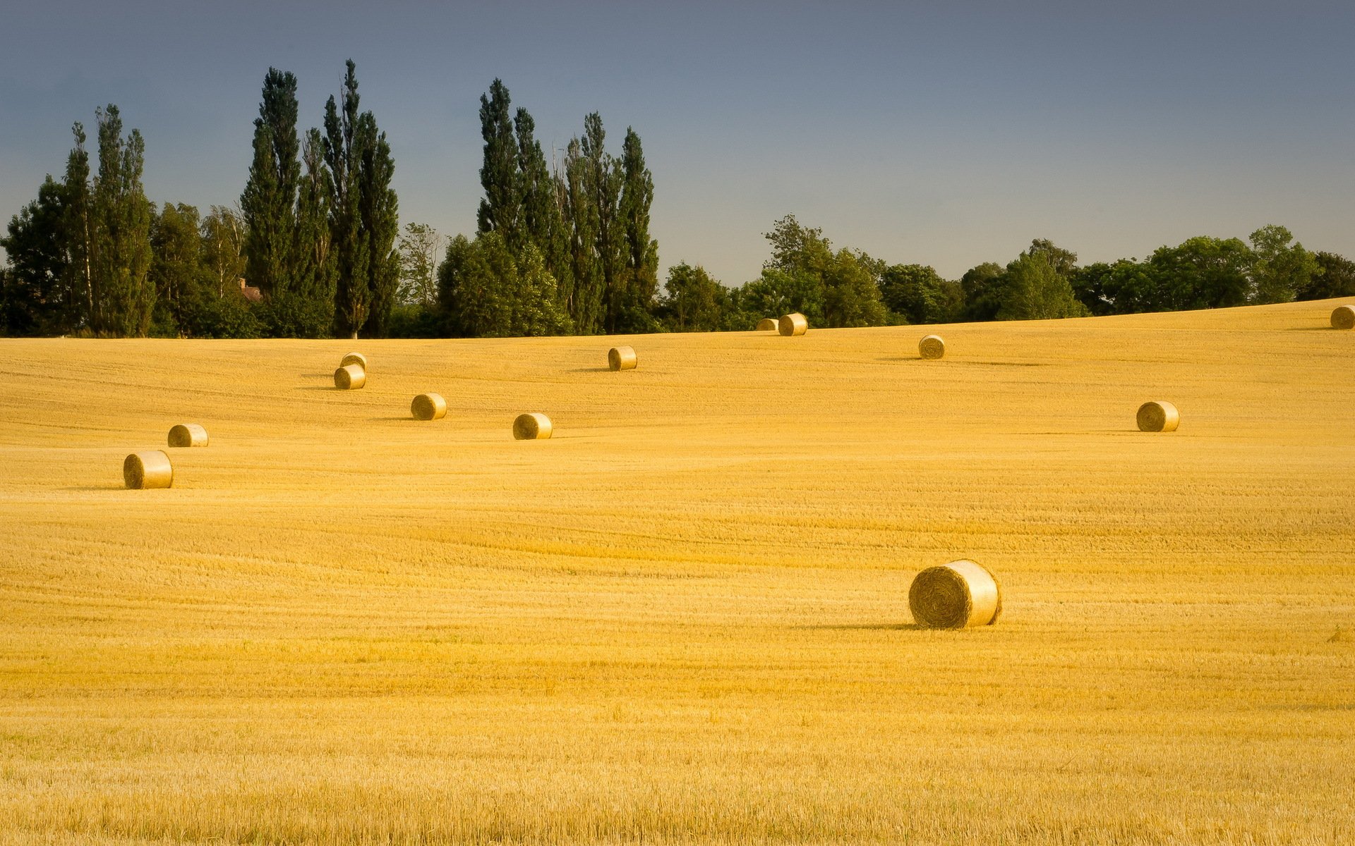 feld heu sommer