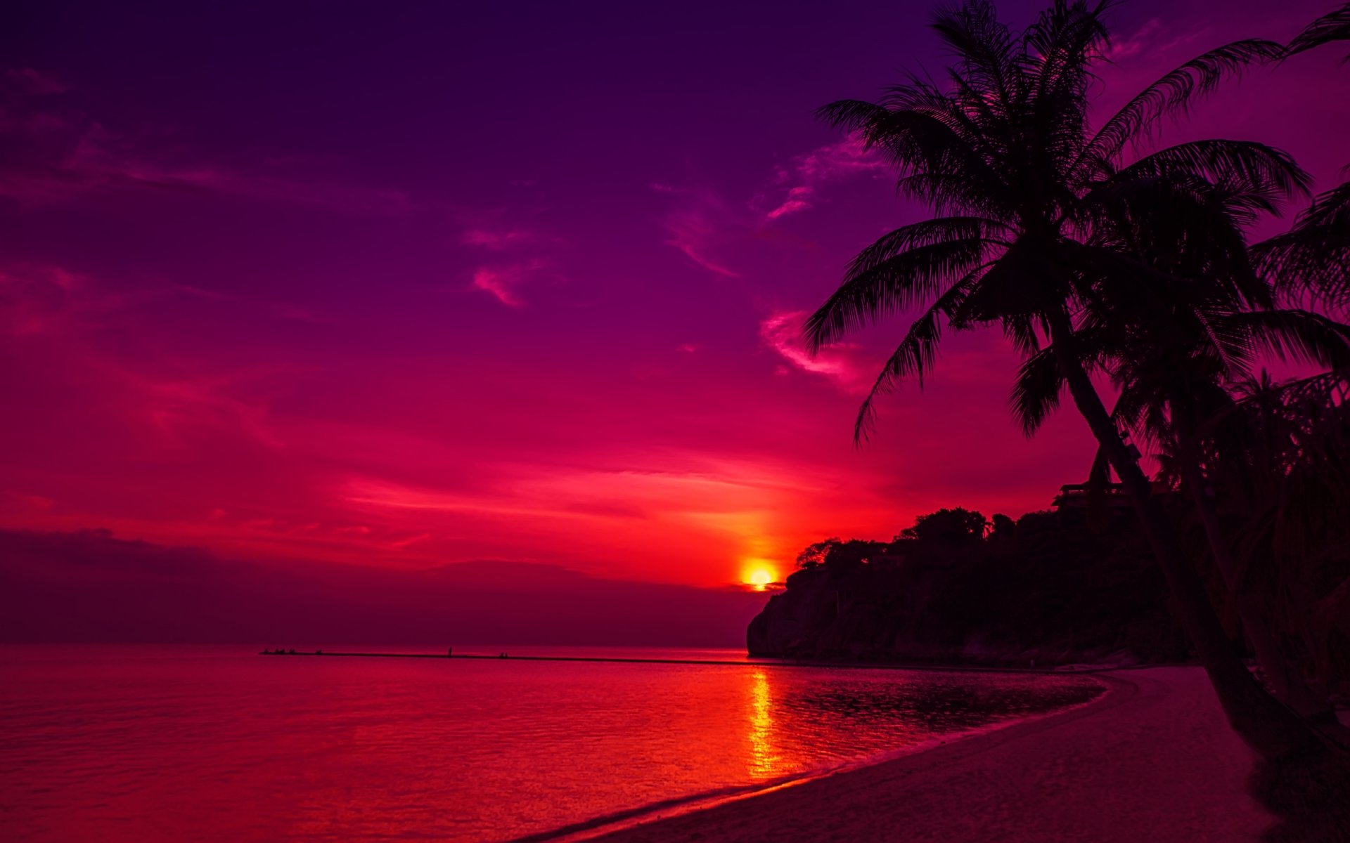 unset sun sky beach sea shore sand palm tree