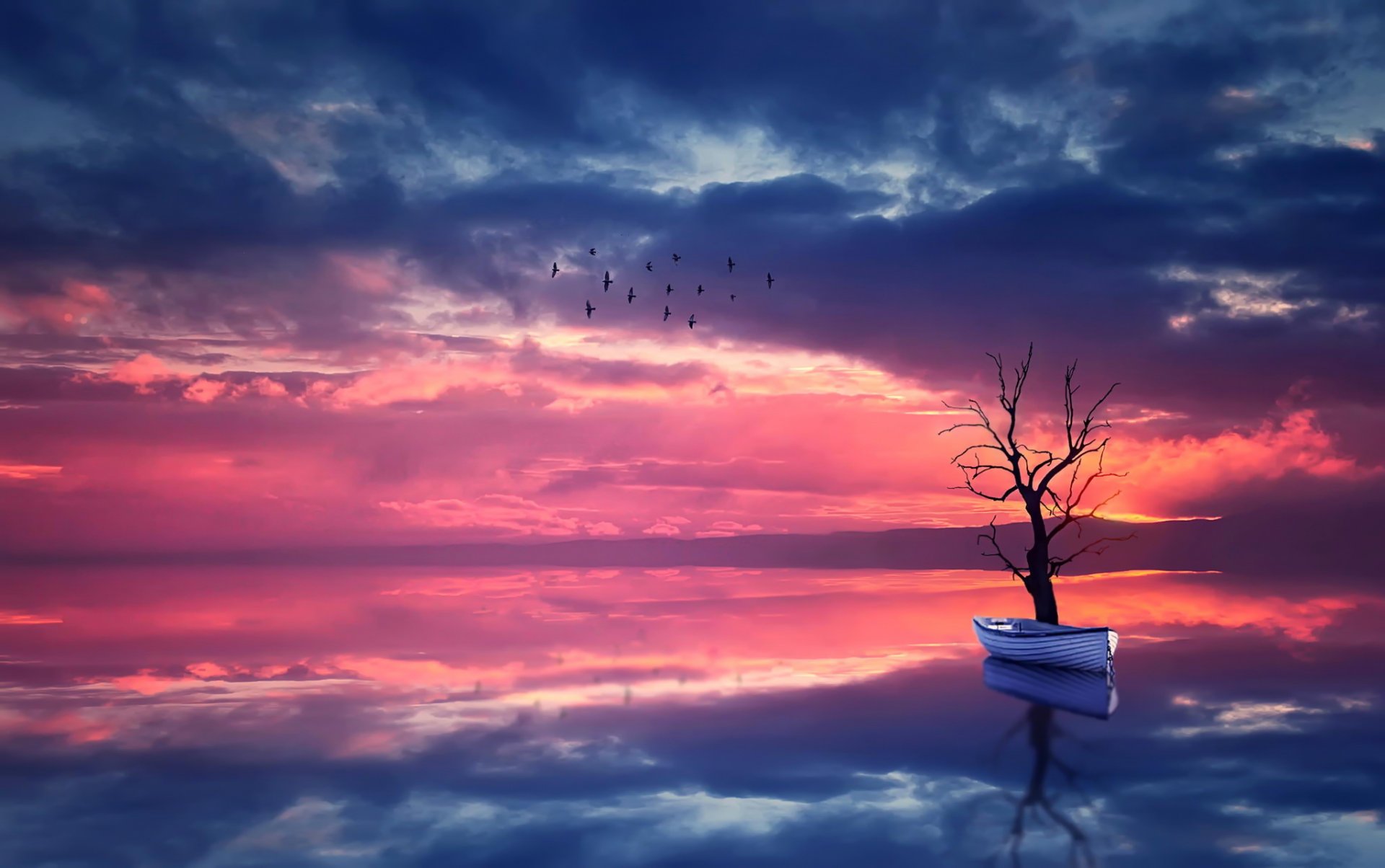 boot baum wasser natur landschaft himmel sonnenuntergang vögel reflexion