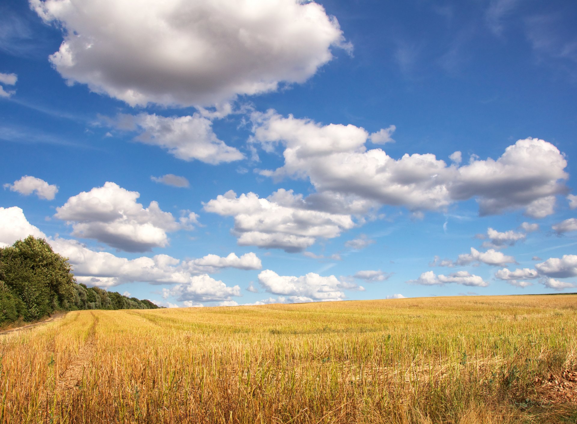 champ route arbres ciel nuages