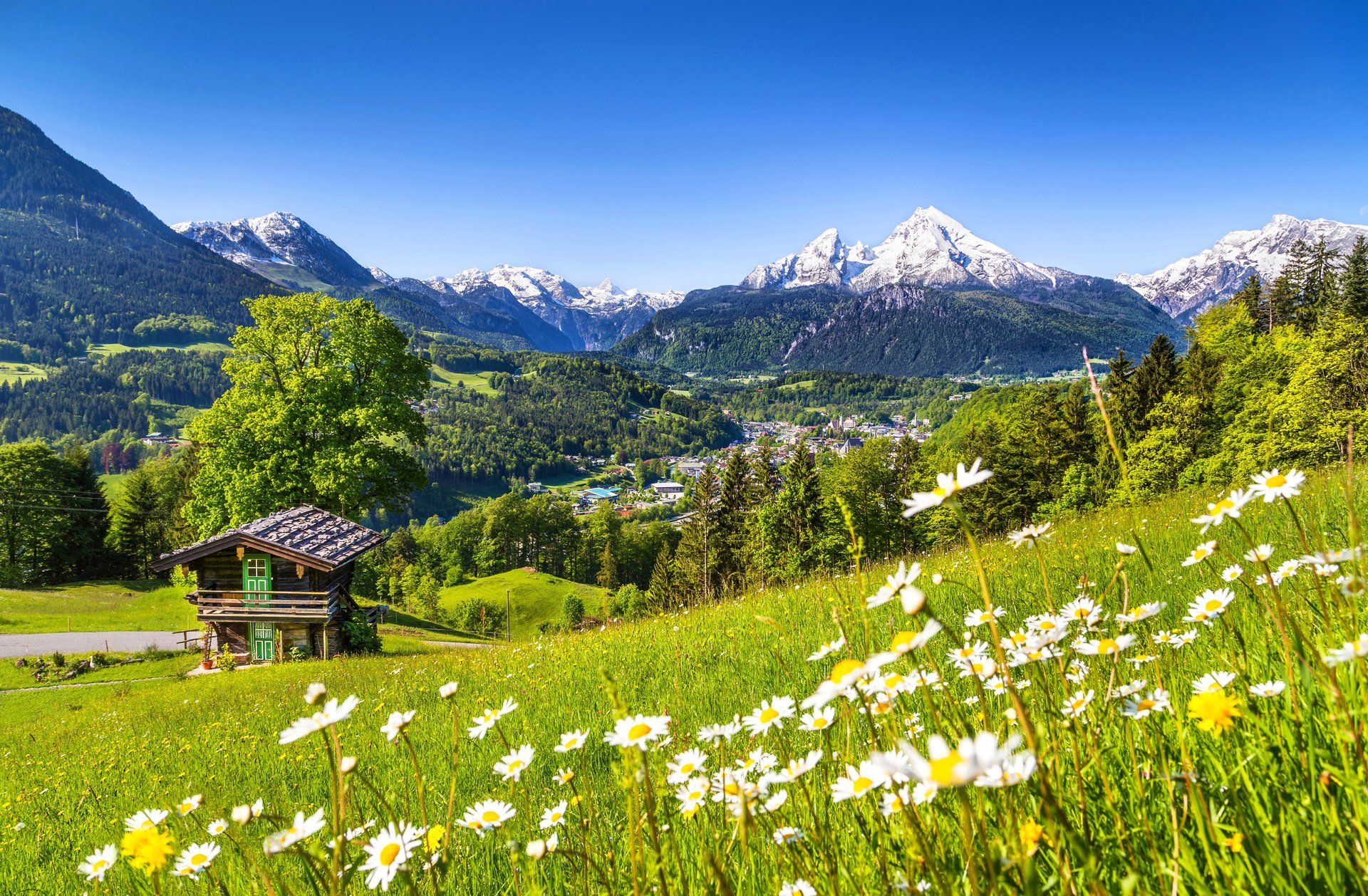 natura primavera montagna casa roccia cielo foresta alberi strada passeggiata fiori primavera montagne roccia